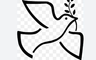 Voces de Paz