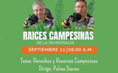 Raíces Campesinas en Palma Stereo